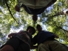 Best hoog die boompjes