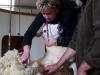 Karin aan het scheren