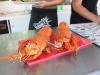 De lunch na de Whale Watch